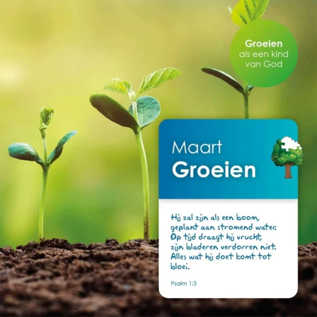 Vanmorgen hebben we met de onderbouw de maandviering gevierd. Thema is groeien! Ook de peuters van @ckokleurrijkdeparel sloten aan bij de maandviering. Mooi dat we samen als Kindcentrum De maandviering mogen meemaken en God groot maken!#NoorderBasis #deparel #viering # christelijk